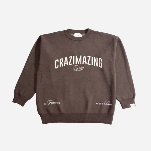 CZ PHANTOM SWEATER | DARK BROWN